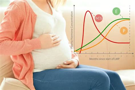 Researchers have found an association between low levels of the hormone human chorionic gonadotropin (hCG) and pregnancy loss. . Hcg levels dropped then went back up after miscarriage